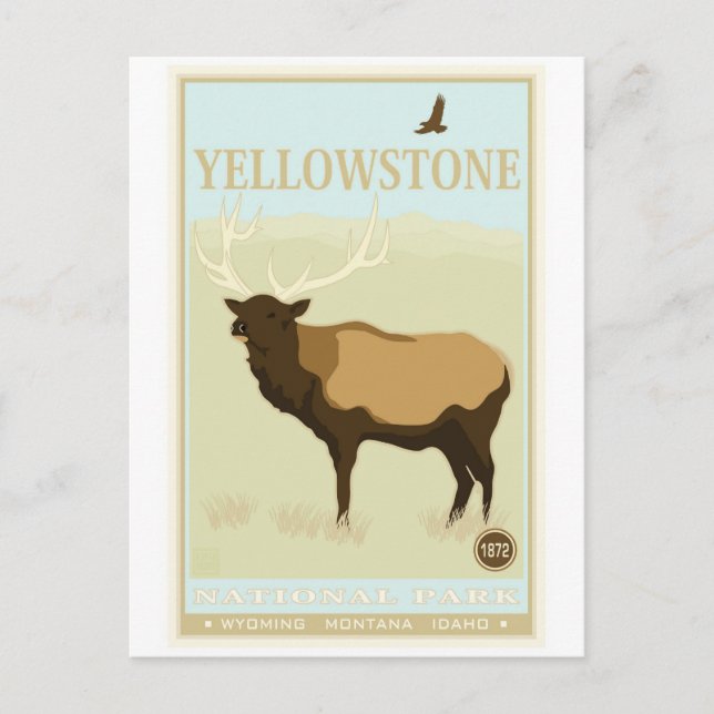 Carte Postale Parc national de Yellowstone (Devant)