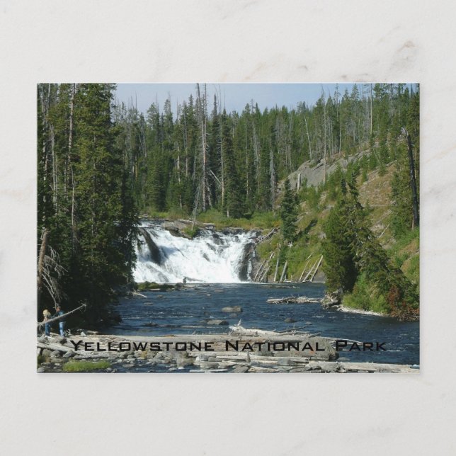 Carte Postale Parc national de Yellowstone (Devant)