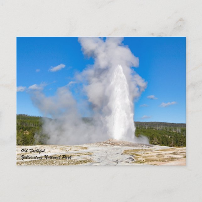 Carte Postale Parc national de Yellowstone (Devant)