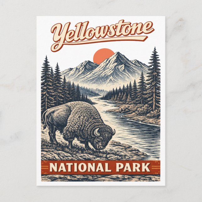 Carte Postale Parc national de Yellowstone - Bison (Devant)