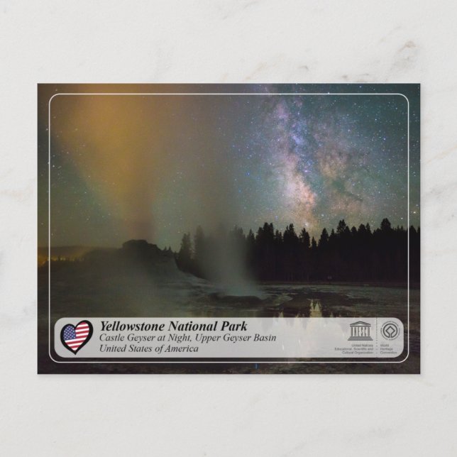 Carte Postale Parc national de Yellowstone - Château Geyser (Devant)