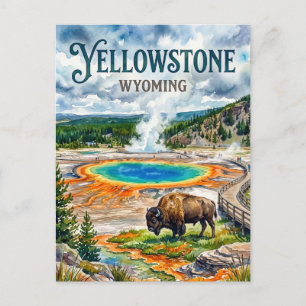 Carte Postale Parc national de Yellowstone États-Unis