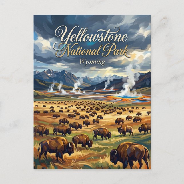 Carte Postale Parc national de Yellowstone États-Unis (Devant)
