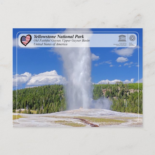 Carte Postale Parc national de Yellowstone - Vieux Geyser fidèle (Devant)