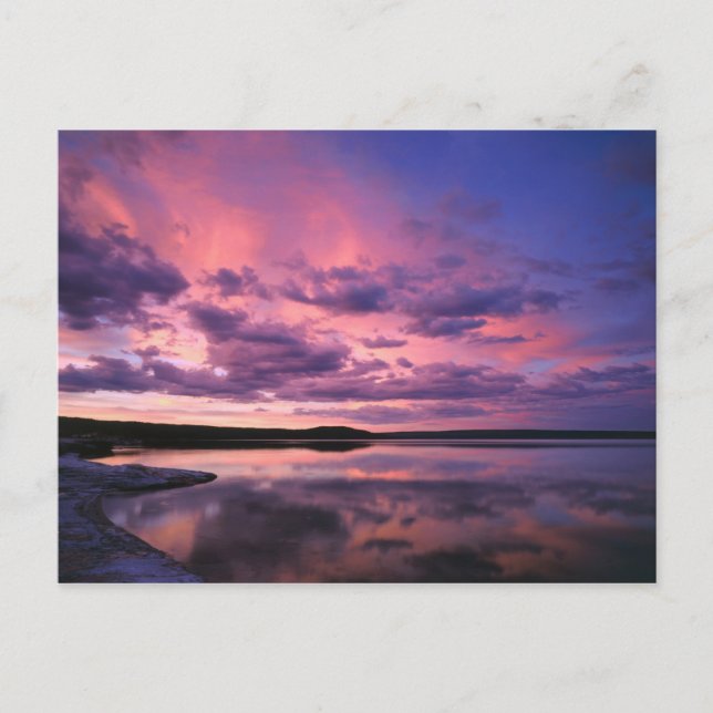 Carte Postale Parc national de Yellowstone, Wyoming. États-Unis (Devant)