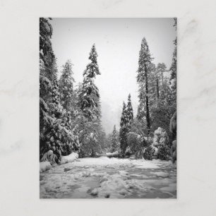 Carte Postale Parc national de Yosemite, Californie