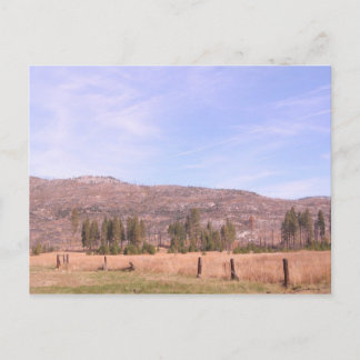 Carte Postale Parc national de Yosemite en Californie PostCard