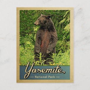 Carte Postale Parc national de Yosemite Ours Vintage