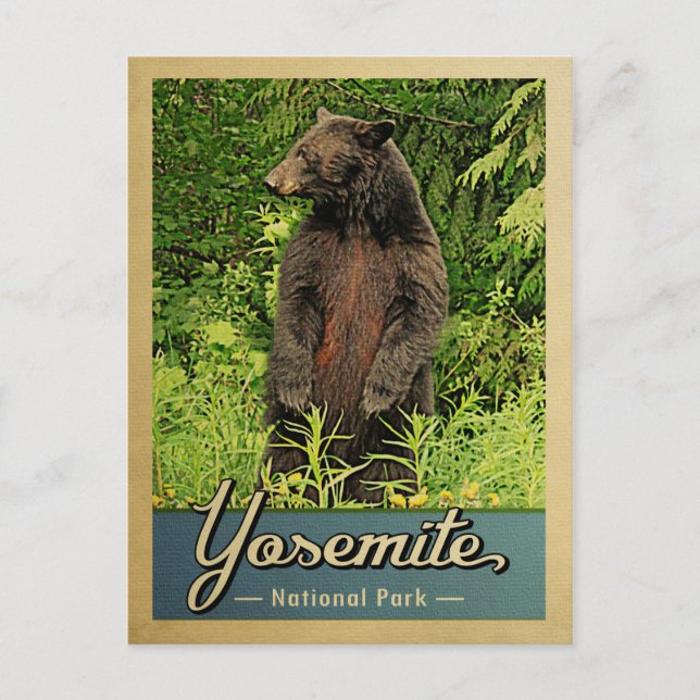 Carte Postale Parc national de Yosemite Ours Vintage (Devant)