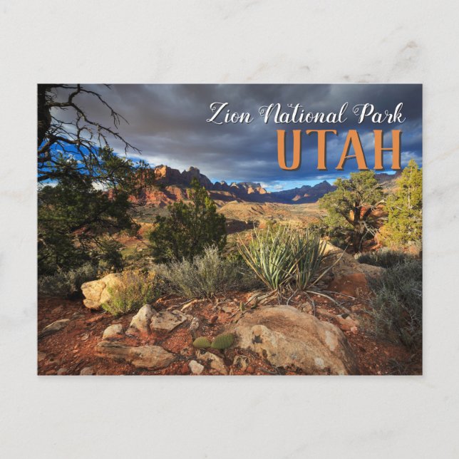 Carte Postale Parc national de Zion (Devant)
