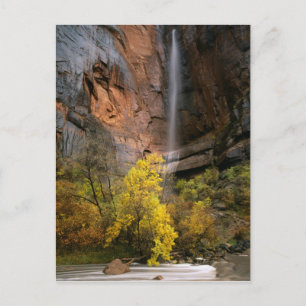 Carte Postale Parc national de Zion, Utah. États-Unis Éphémère