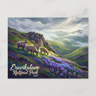 Carte Postale Parc national d'Eravikulam Inde