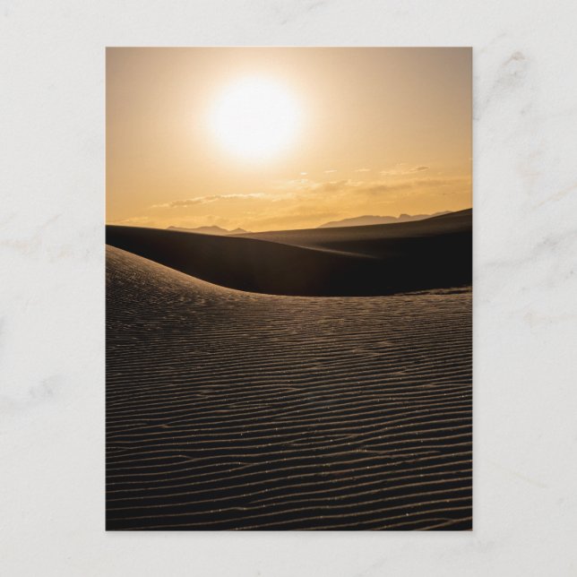 Carte Postale Parc national des dunes de sable blanc (Devant)