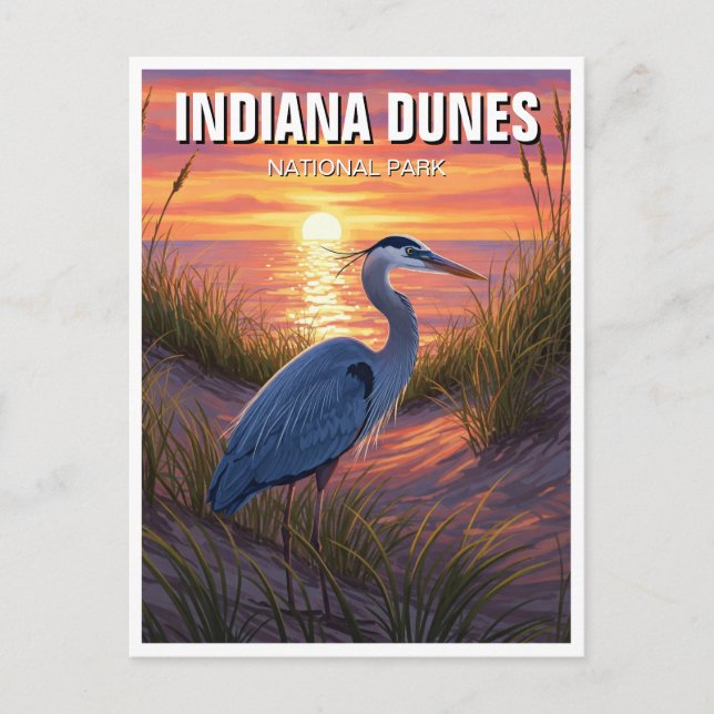 Carte Postale Parc national des dunes d'Indiana Travel Heron (Devant)