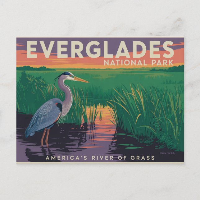 Carte Postale Parc national des Everglades (Devant)