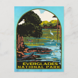 Carte Postale Parc national des Everglades