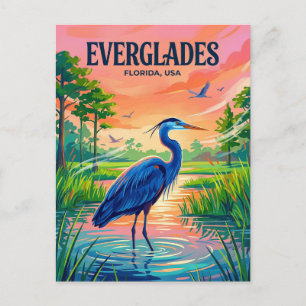 Carte Postale Parc national des Everglades États-Unis
