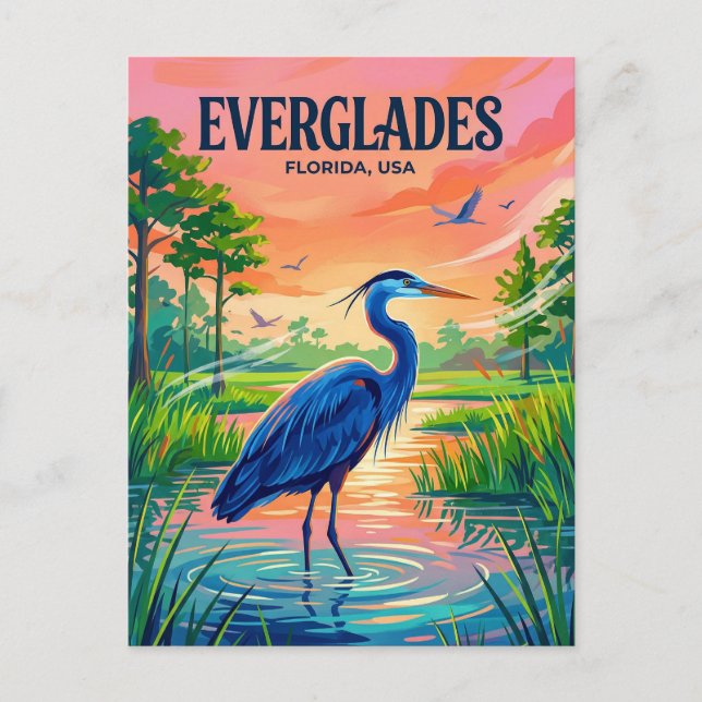 Carte Postale Parc national des Everglades États-Unis (Devant)