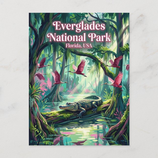 Carte Postale Parc national des Everglades États-Unis (Devant)