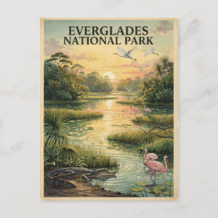 Carte Postale Parc national des Everglades Faune Aquarelle