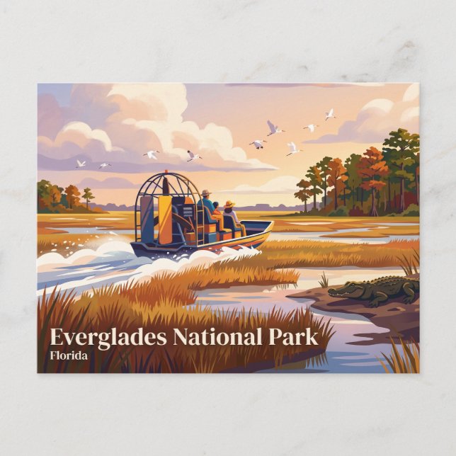 Carte Postale Parc national des Everglades Floride (Devant)
