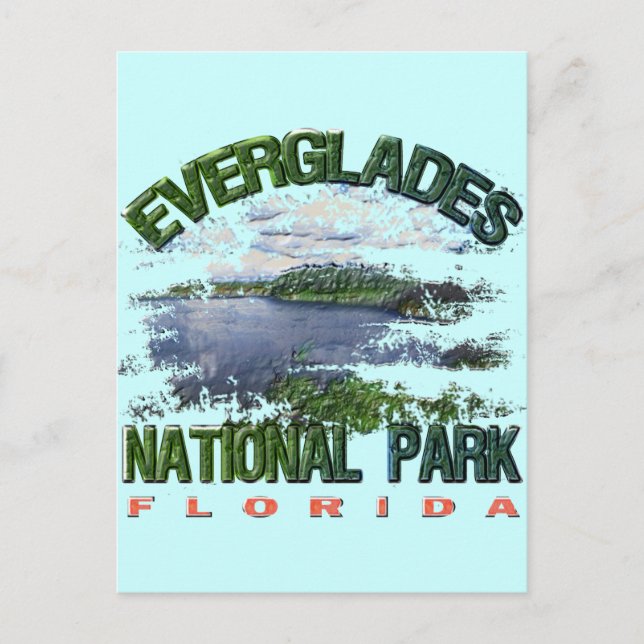 Carte Postale Parc national des Everglades, Floride (Devant)