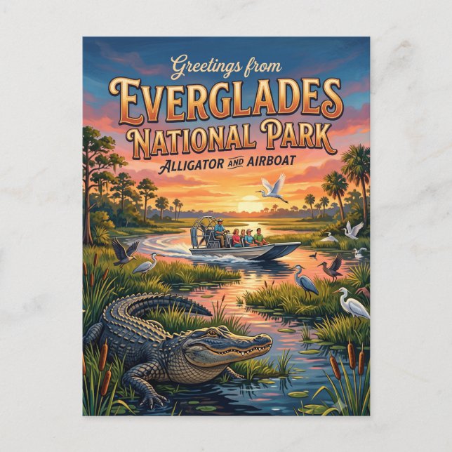 Carte Postale Parc national des Everglades Floride (Devant)
