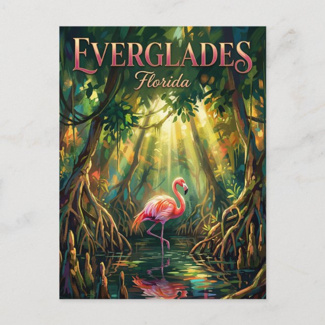 Carte Postale Parc national des Everglades Floride (Devant)