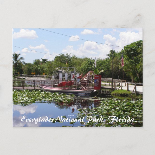 Carte Postale Parc national des Everglades, Floride (Devant)