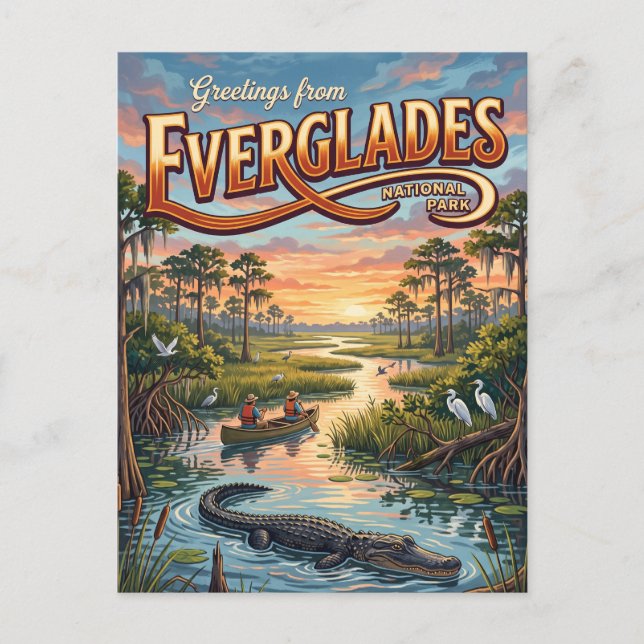 Carte Postale Parc national des Everglades Floride (Devant)