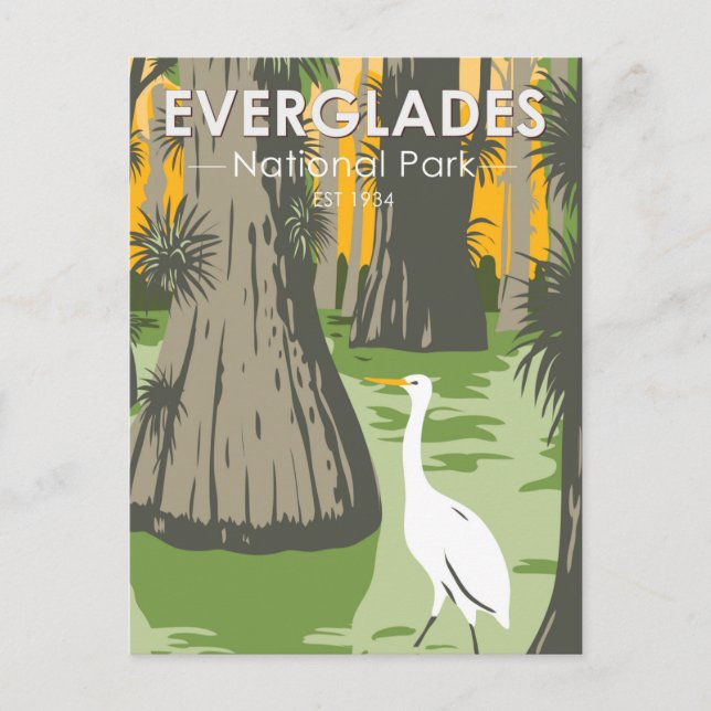 Carte Postale Parc national des Everglades Floride Aigrette Vint (Devant)