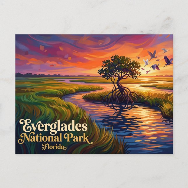 Carte Postale Parc national des Everglades USA (Devant)