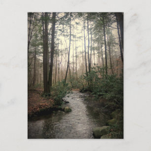 Carte Postale Parc national des Great Smoky Mountains