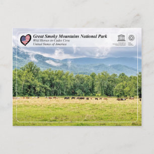 Carte Postale Parc national des Great Smoky Mountains - Cades Co