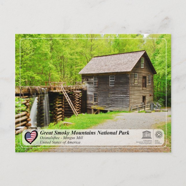 Carte Postale Parc national des Great Smoky Mountains - Mingus M (Devant)