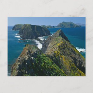 Carte Postale Parc national des îles Channel, Sud