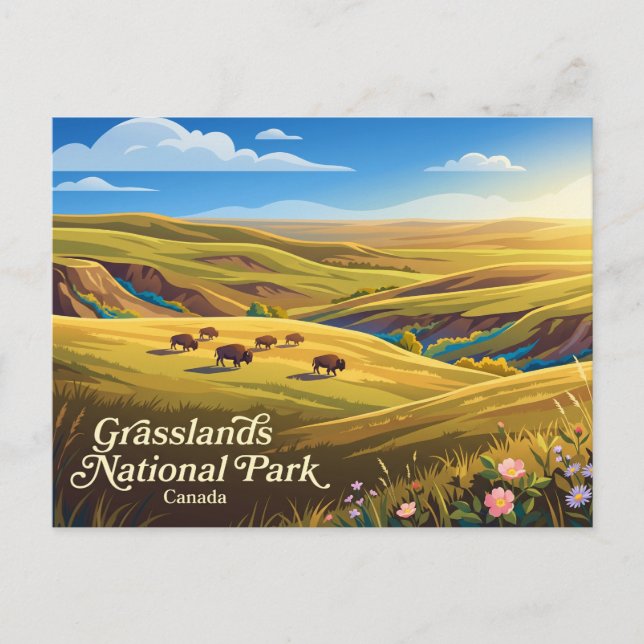 Carte Postale Parc national des Prairies Canada (Devant)