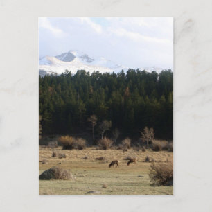 Carte Postale Parc national des Rocheuses