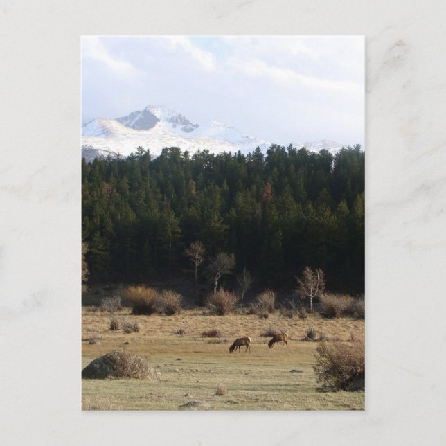 Carte Postale Parc national des Rocheuses (Devant)