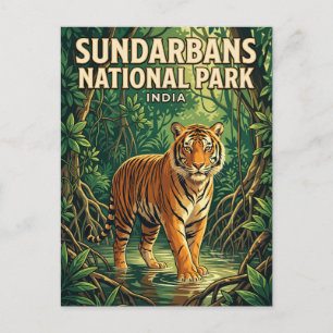 Carte Postale Parc national des Sundarbans Inde
