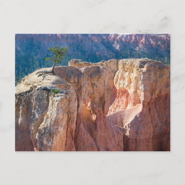 Carte Postale Parc national du Bryce Canyon (Devant)