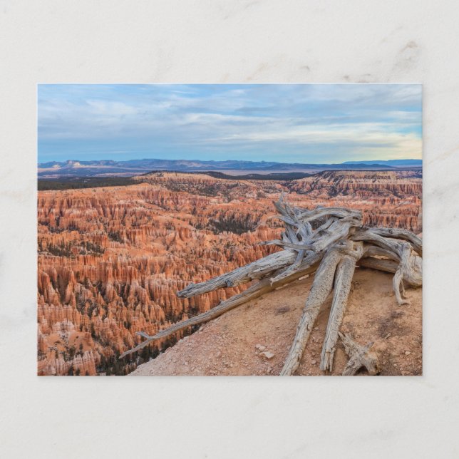 Carte Postale Parc national du canyon Bryce à Sunrise (Devant)