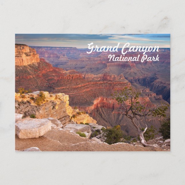 Carte Postale Parc national du Grand Canyon (Devant)