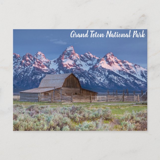 Carte Postale Parc national du Grand Teton Wyoming Mountains Gra (Devant)