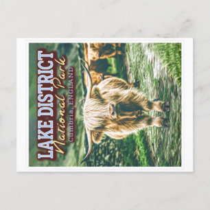 CARTE POSTALE PARC NATIONAL DU LAC - CUMBRIA ANGLETERRE