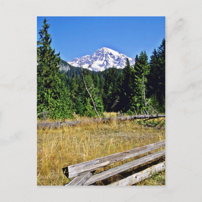 Carte Postale Parc national du Mont-Rainier (Devant)