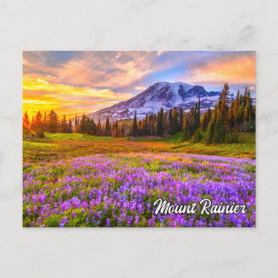 Carte Postale Parc national du Mont Rainier, Washington