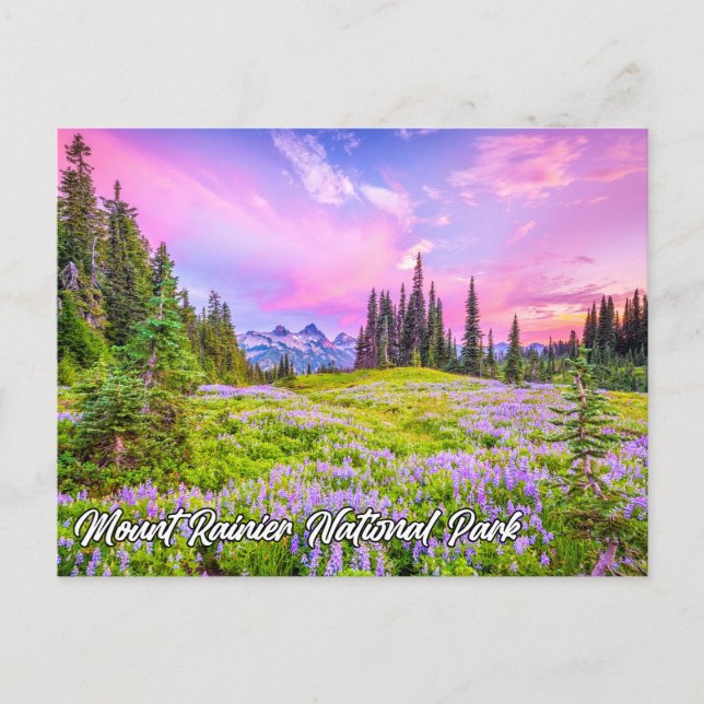 Carte Postale Parc national du Mont Rainier, Washington (Devant)