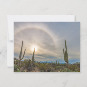 Carte Postale Parc national du Saguaro avec Sun Halo