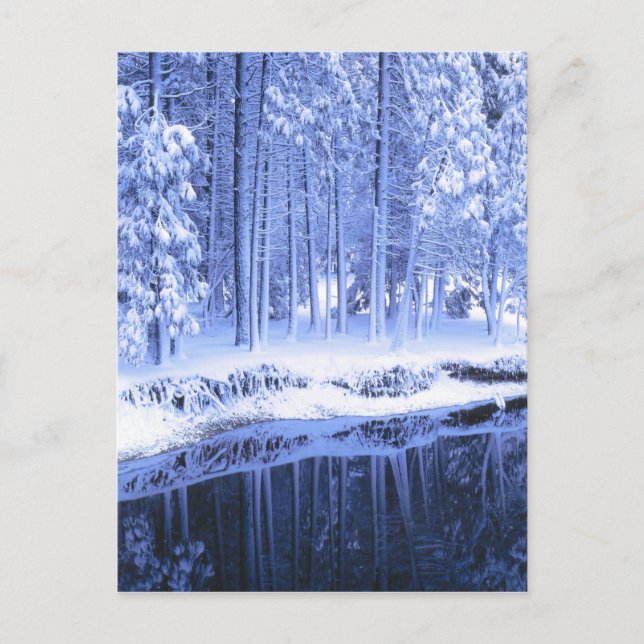 Carte Postale PARC NATIONAL DU YOSEMITE, CALIFORNIE. États-Unis  (Devant)